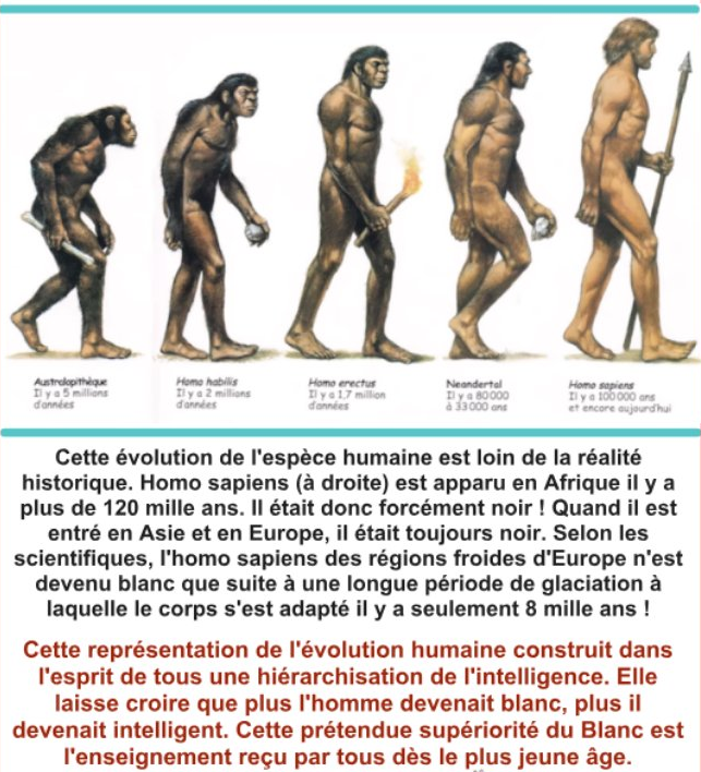 L'évolution de l'homme 2
