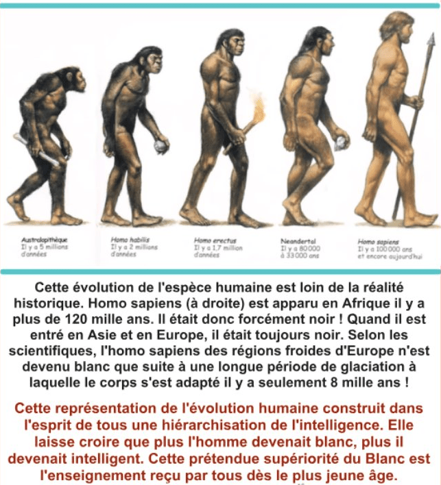 L'évolution de l'homme 2