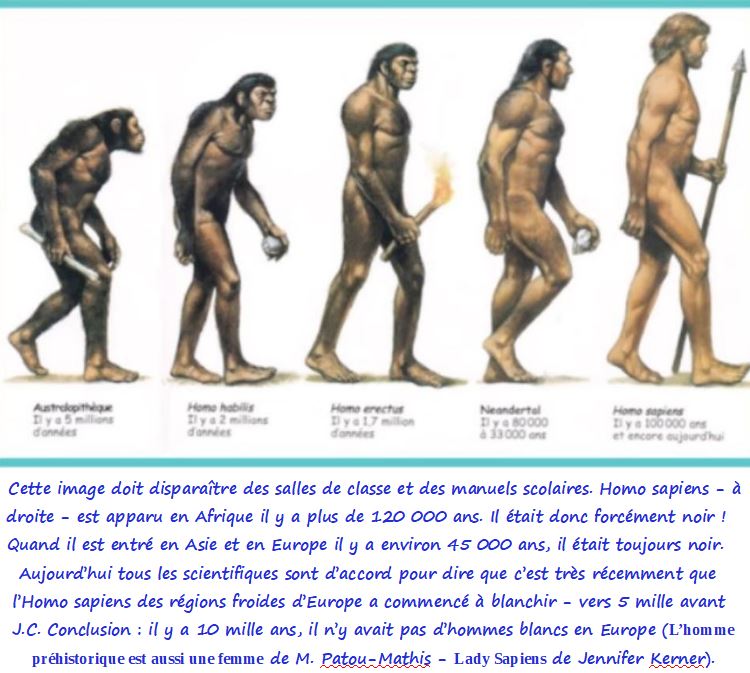 L'évolution de l'homme 3
